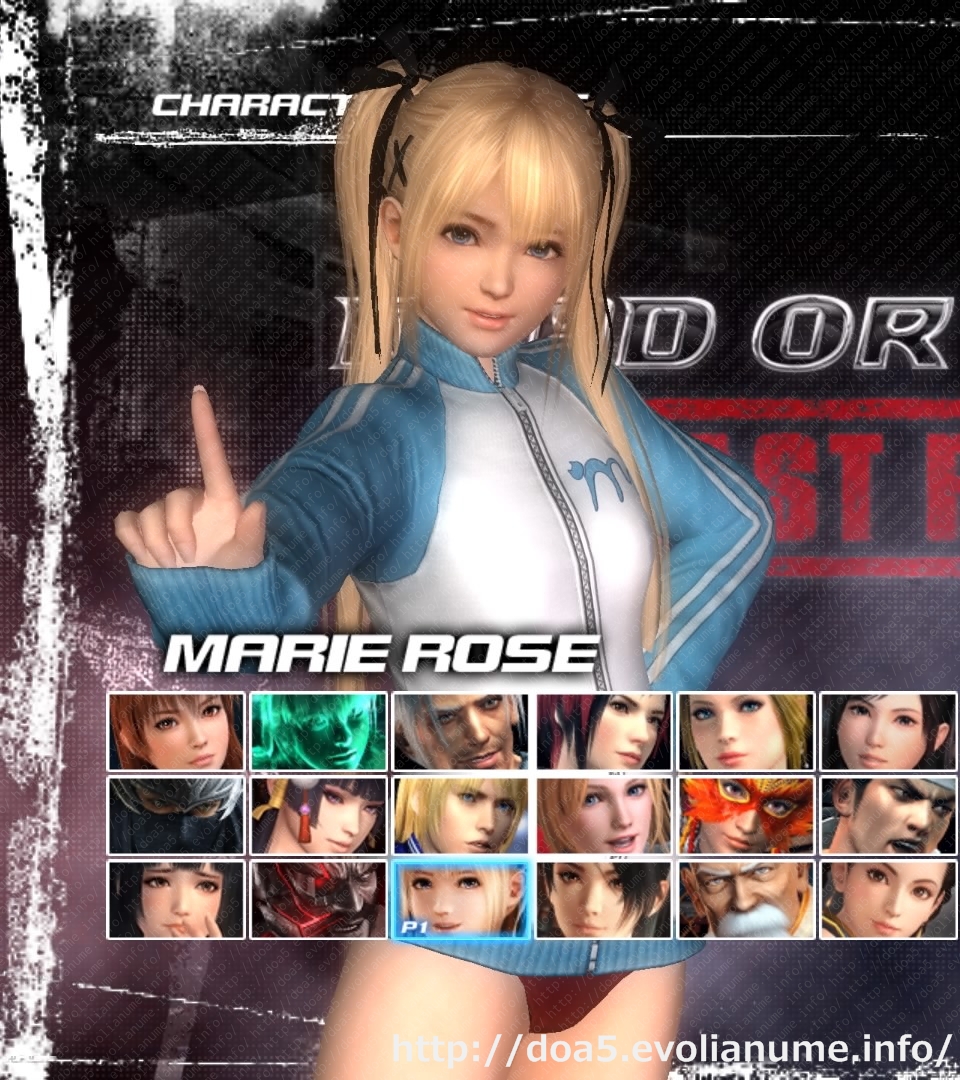 doa5lr 安い コスチュームの記憶